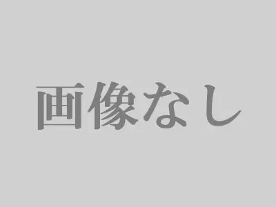 トコジラミを自分で駆除した方法【実体験】